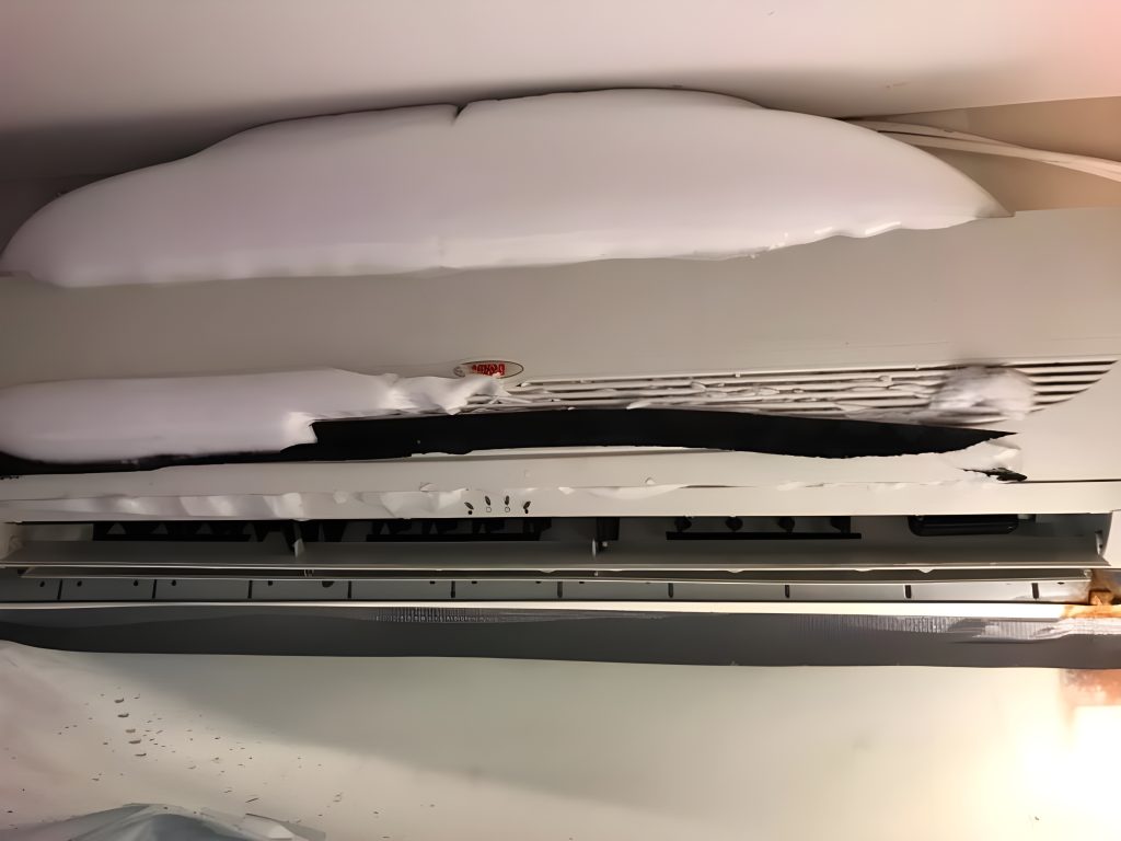 90704312 1648022472021600 3499733468122710016 n (1)